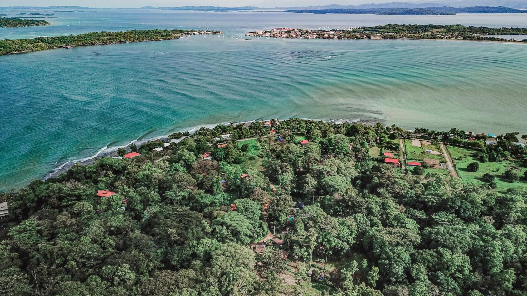 Bocas Garden Lodges Bocas del Toro Eksteriør billede