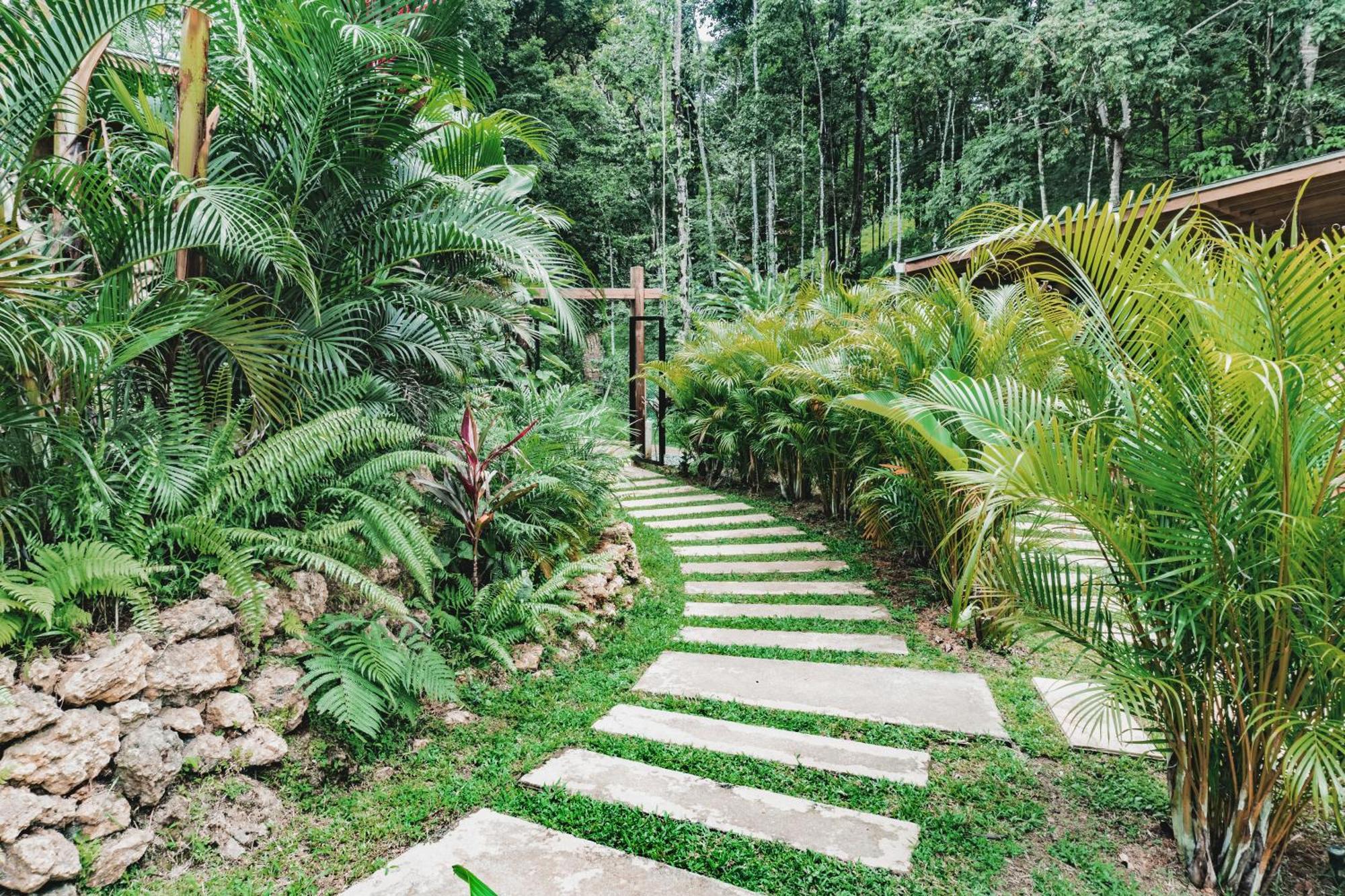 Bocas Garden Lodges Bocas del Toro Eksteriør billede